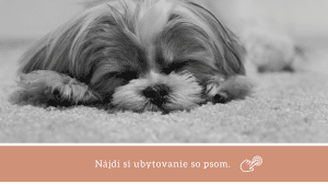 sardínia ubytovanie so psom